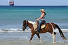 Horseback Rider at Malmok Beach