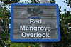 Red Mangrove Overlook