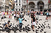 Feeding Pigeons in Piazza San Marco (St. Mark's Square)