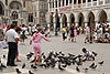 Feeding Pigeons in Piazza San Marco (St Mark's Square)