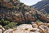 Molino Canyon Vista