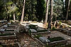 Graves on Mount Herzl