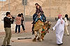 Camel & Tourists