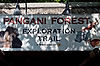 Pangani Forest Exploration Trail
