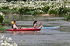 Kayakers in Spider Lilies at Landsford Canal State Park