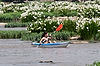 Kayaker in Spider Lilies at Landsford Canal State Park