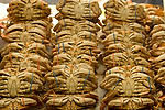 Dungeness Crabs at Pure Foods Fish Market