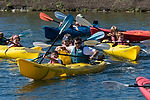 Kayakers on Lake Union