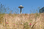 Space Needle over North Meadow at Olympic Sculpture Park