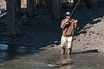 Salmon Fishing at Ship Creek