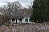 Cotton Field & Bratton Home at Historic Brattonsville