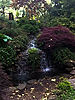 Waterfall Park at Cleveland Botanical Garden