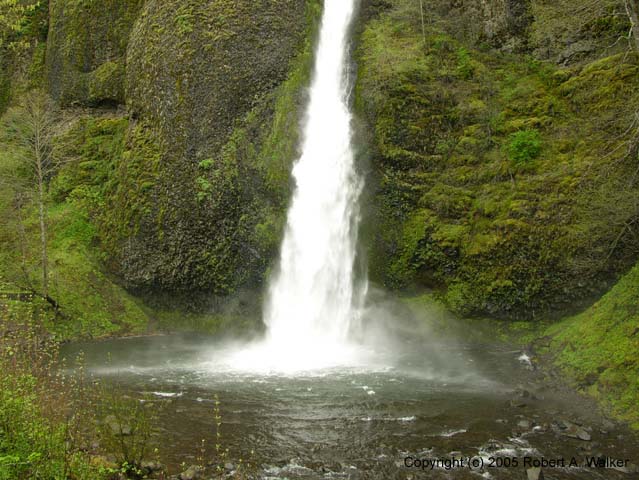 DSCN3819