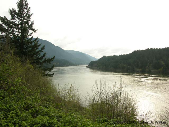 DSCN3904