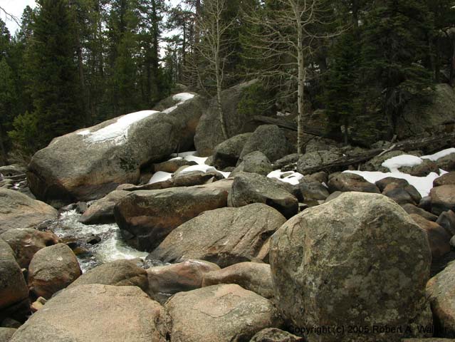 DSCN3970