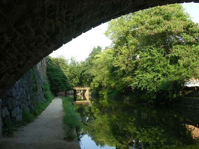 DSCN5831