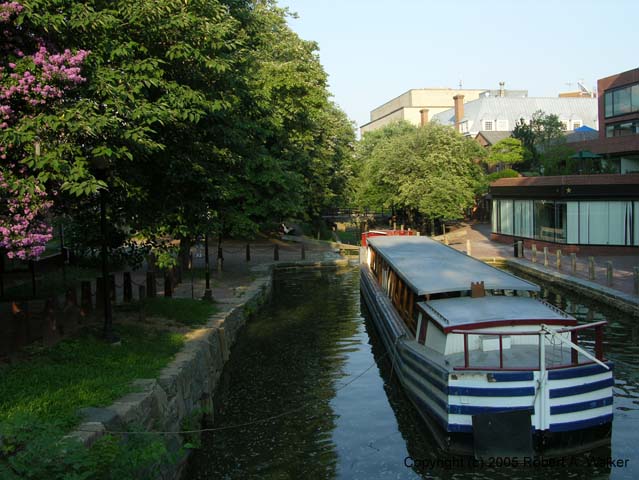 DSCN5842