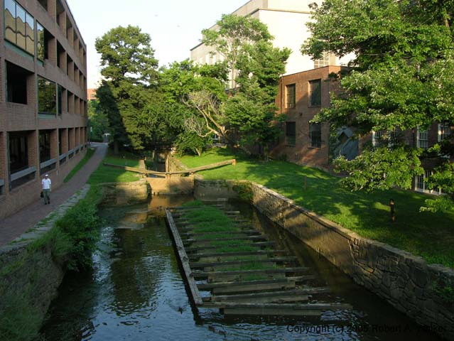 DSCN5853