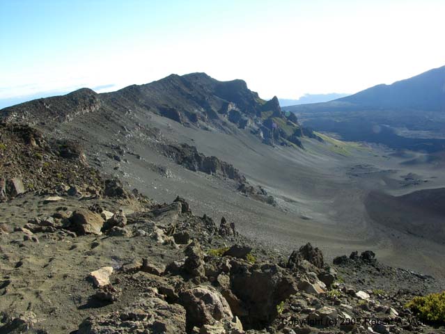 DSCN6954