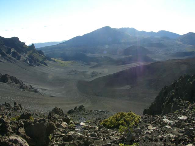 DSCN6966