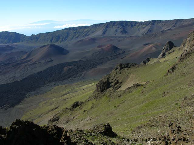 DSCN7091