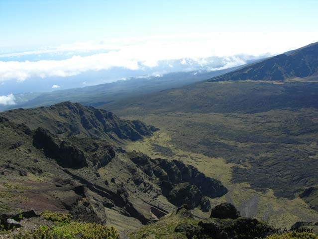 DSCN7199
