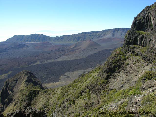 DSCN7206
