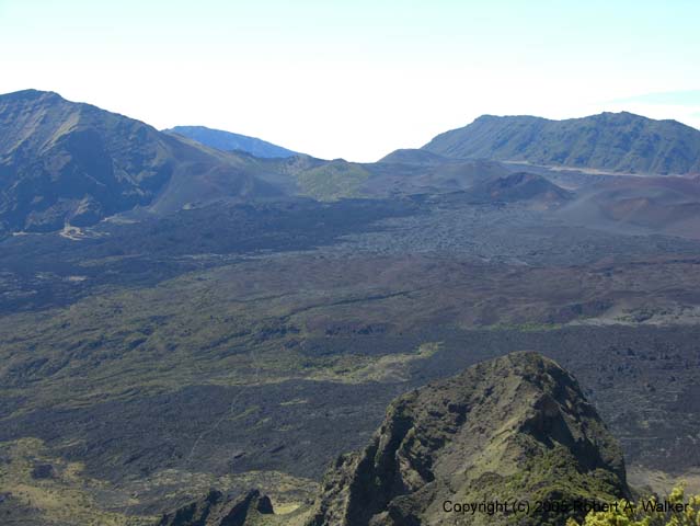 DSCN7223