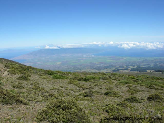 DSCN7230