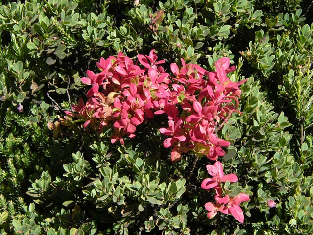 DSCN7245