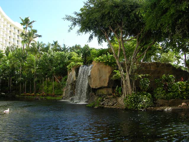 DSCN7696