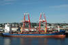 Saint John Harbor