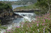 Reversing Rapids at Bay of Fundy