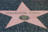 Stars on Hollywood Blvd