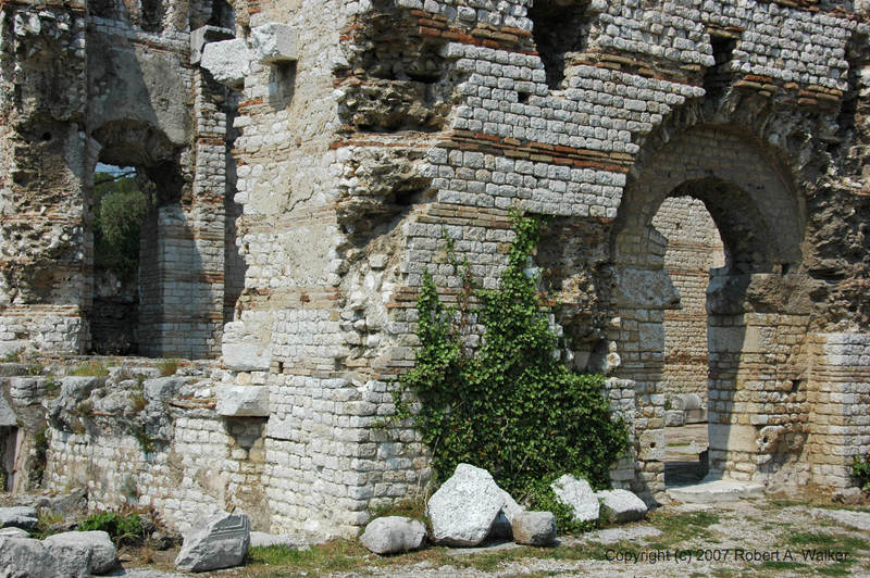 IMG_164.jpg