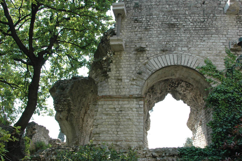 IMG_179.jpg