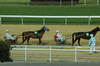 Warmup for First Race