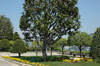 Monastery Gardens