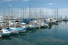 Le Vieux Port