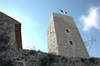 Musee de la Castre