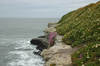 Cliff Drive