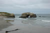 Natural Bridges State Beach