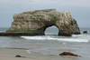 Natural Bridges State Beach