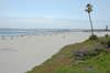 Hotel del Coronado