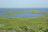 View from Currituck Beach Lighthouse