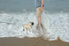 Richard & Smokey Get Wet