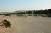 Jockey's Ridge State Park