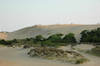 Jockey's Ridge State Park