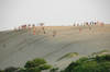 Jockey's Ridge State Park