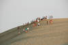 Jockey's Ridge State Park